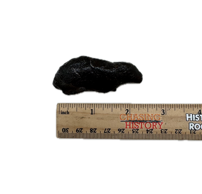 Gebel Kamil Meteorite Display Specimen – Iron Meteorite from Egypt