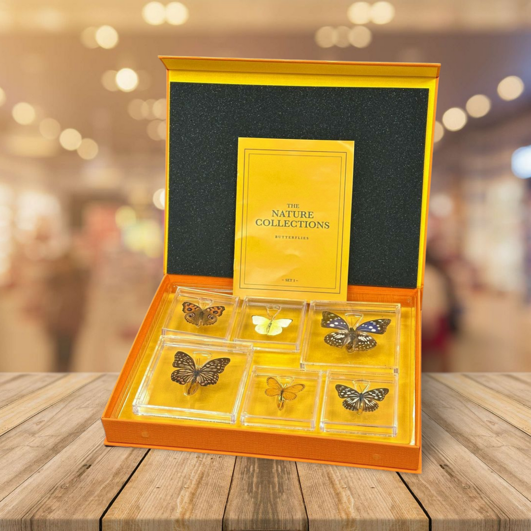 The Natures Collection, Butterflies Set 1