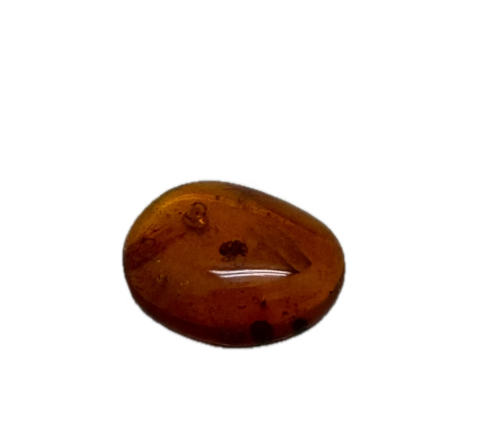 Insect in Dinosaur Age Burmite "Amber"