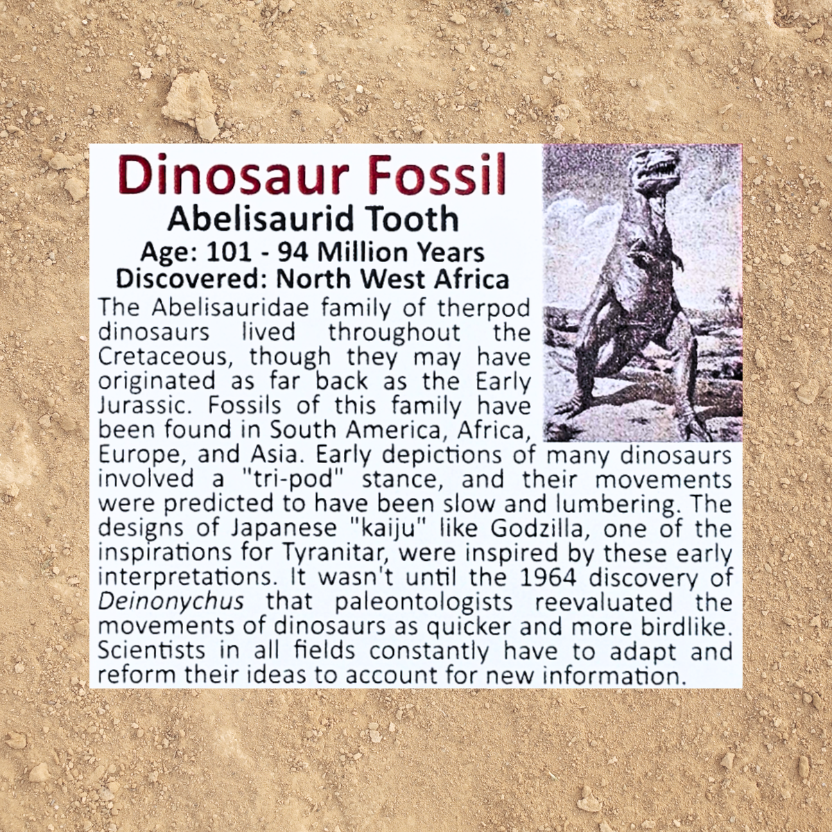 Pokémon Fossil Display - Tyranitar with Abelisaurid Tooth