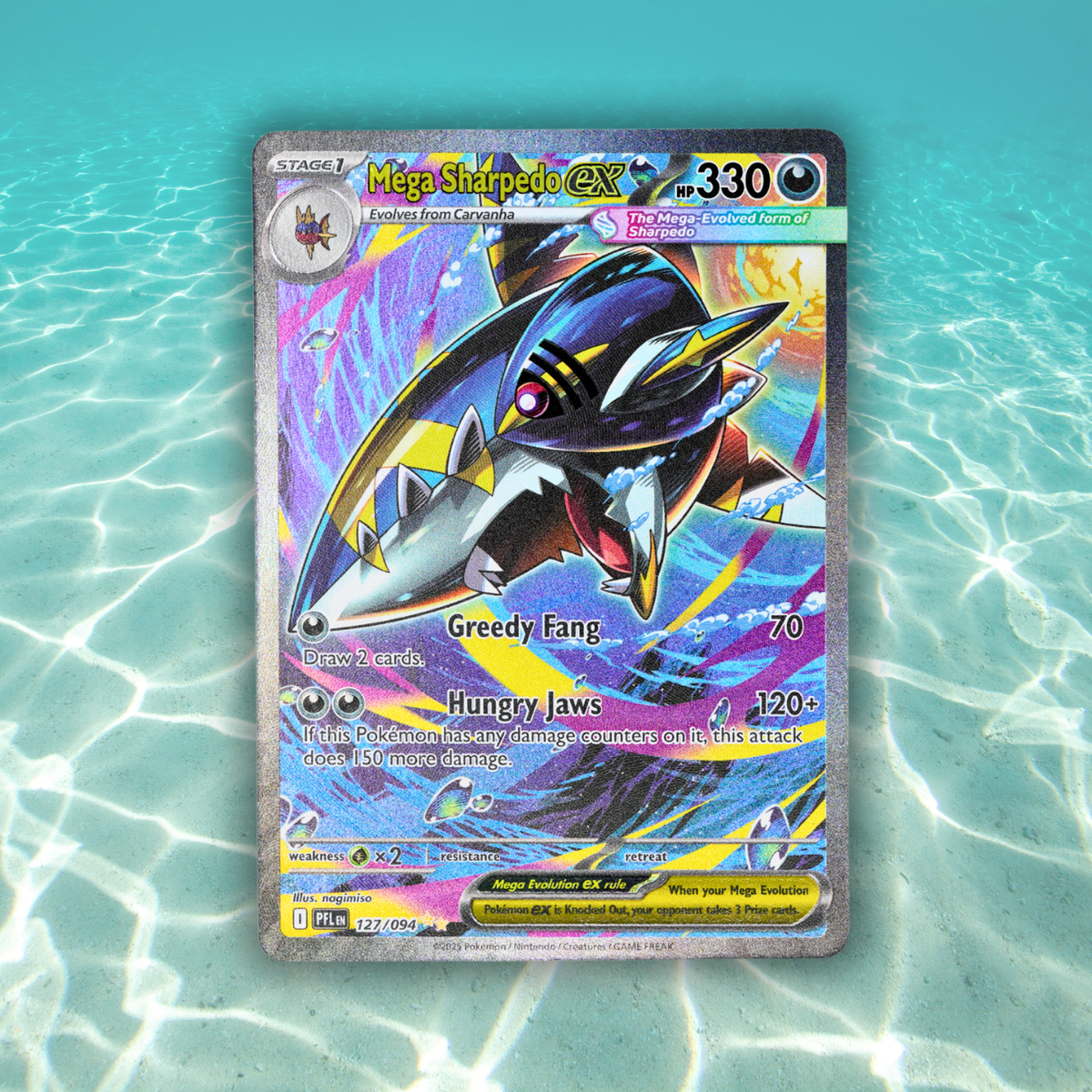 Pokémon Fossil Display - Mega Sharpedo EX with Megalodon Tooth Fossil