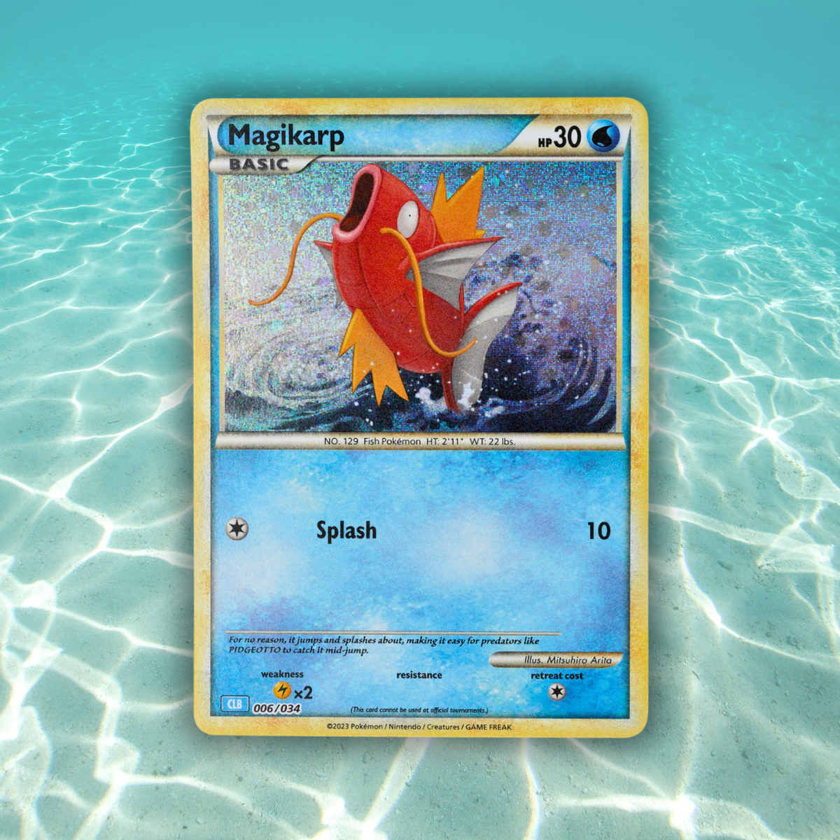 Pokémon Fossil Display - Magikarp Fish Fossil