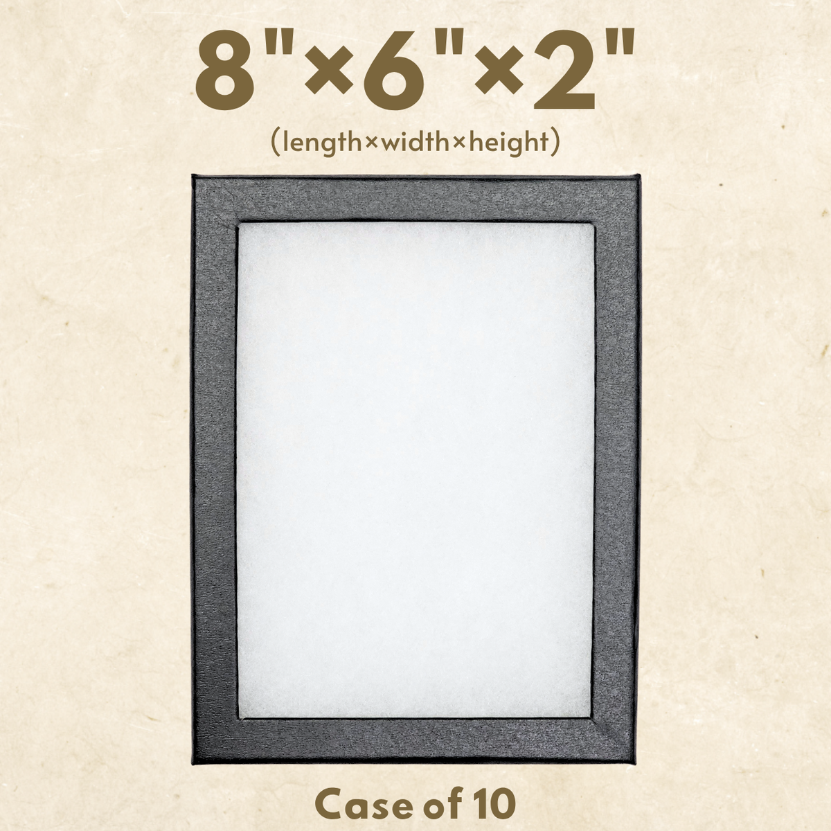 Riker Display Case – 8" × 6" × 2" (Case of 10) Glass Top Display Box
