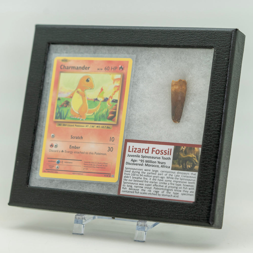 Framed Charmander trading card with a lizard fossil inside