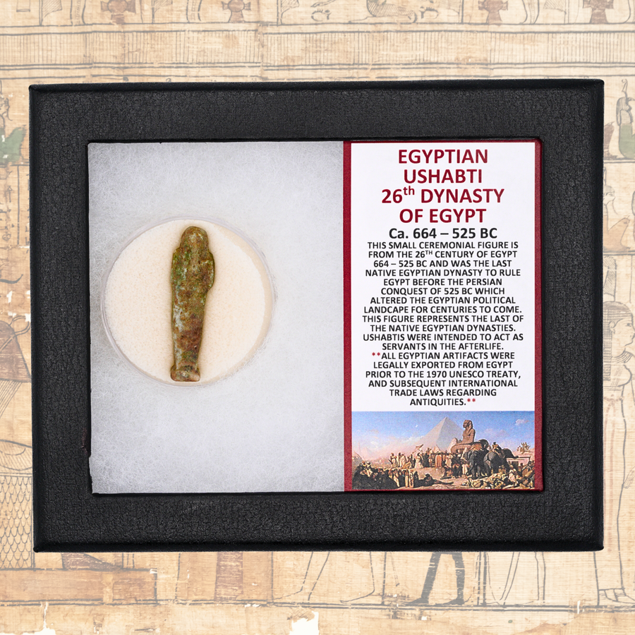 Egyptian Ushabti Display