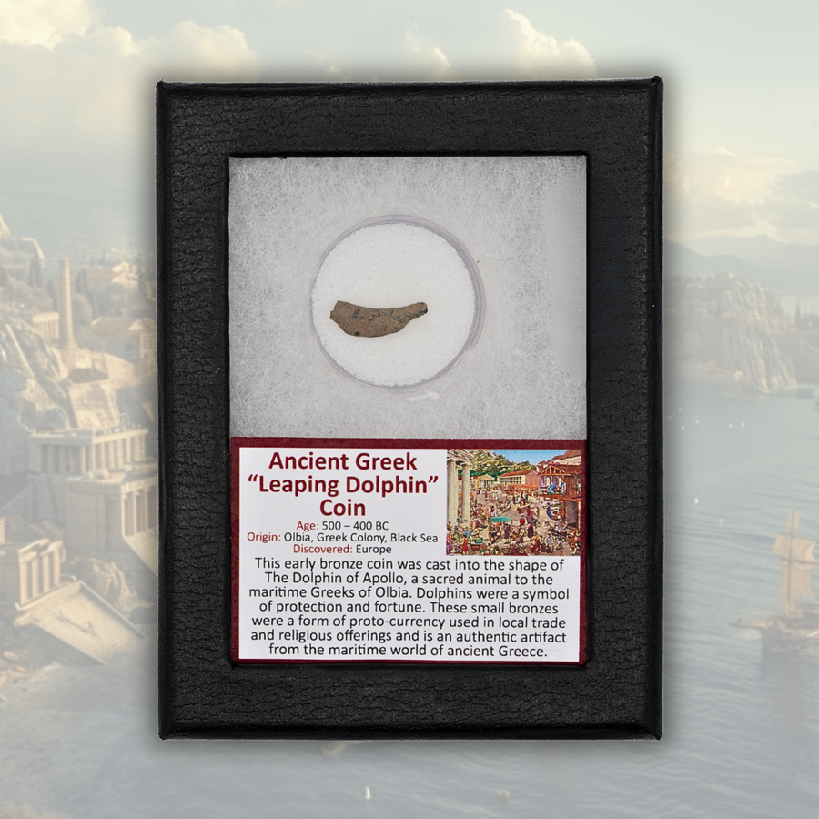 Ancient Greek "Leaping Dolphin" Coin Display
