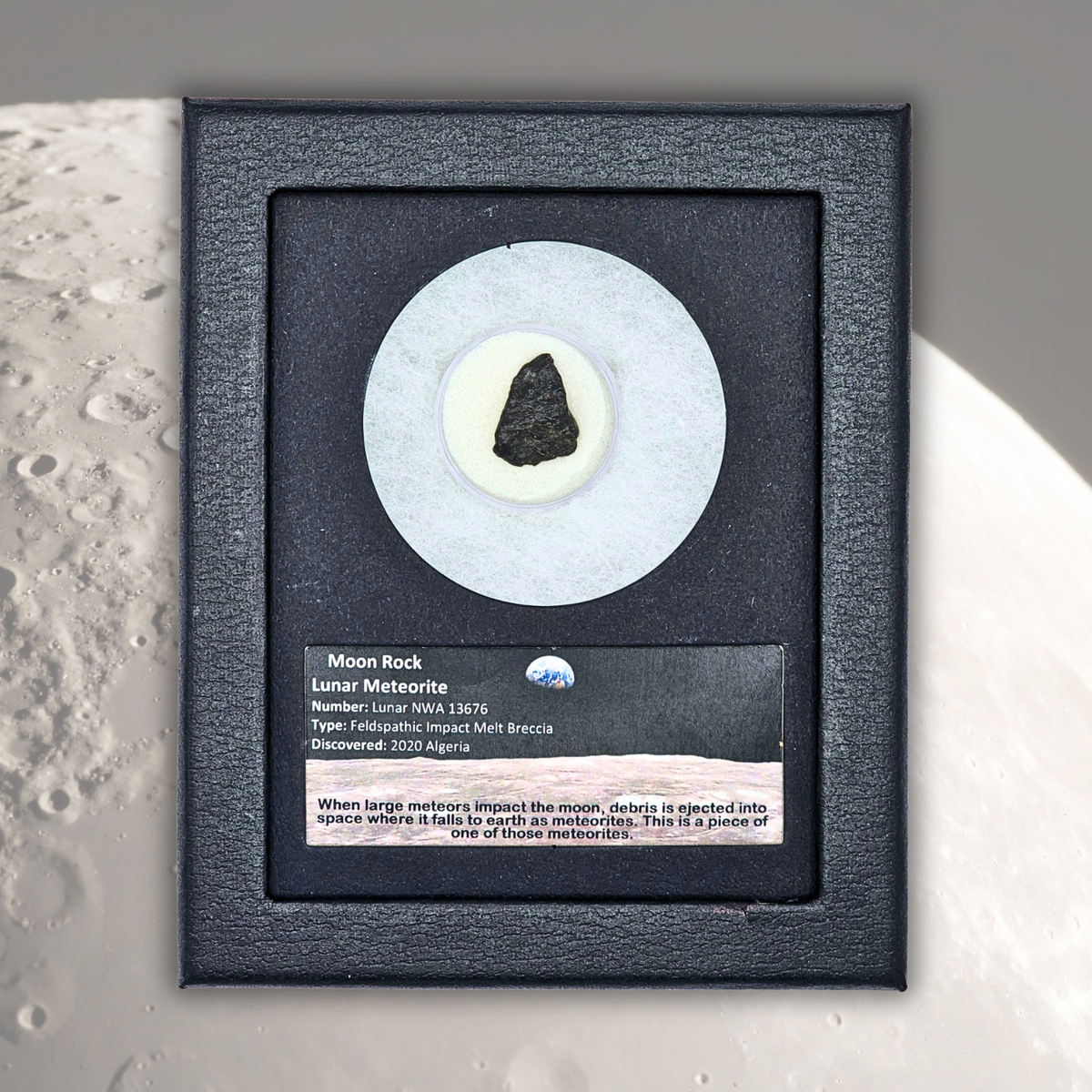 Moon Rock Lunar Meteorite Display - Algeria