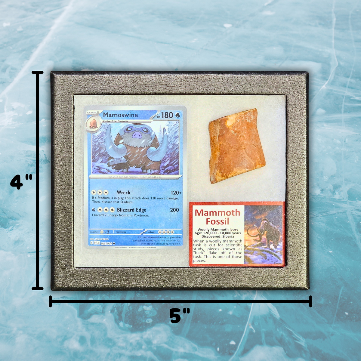 Pokémon Fossil Display - Mamoswine with Mammoth Fossil