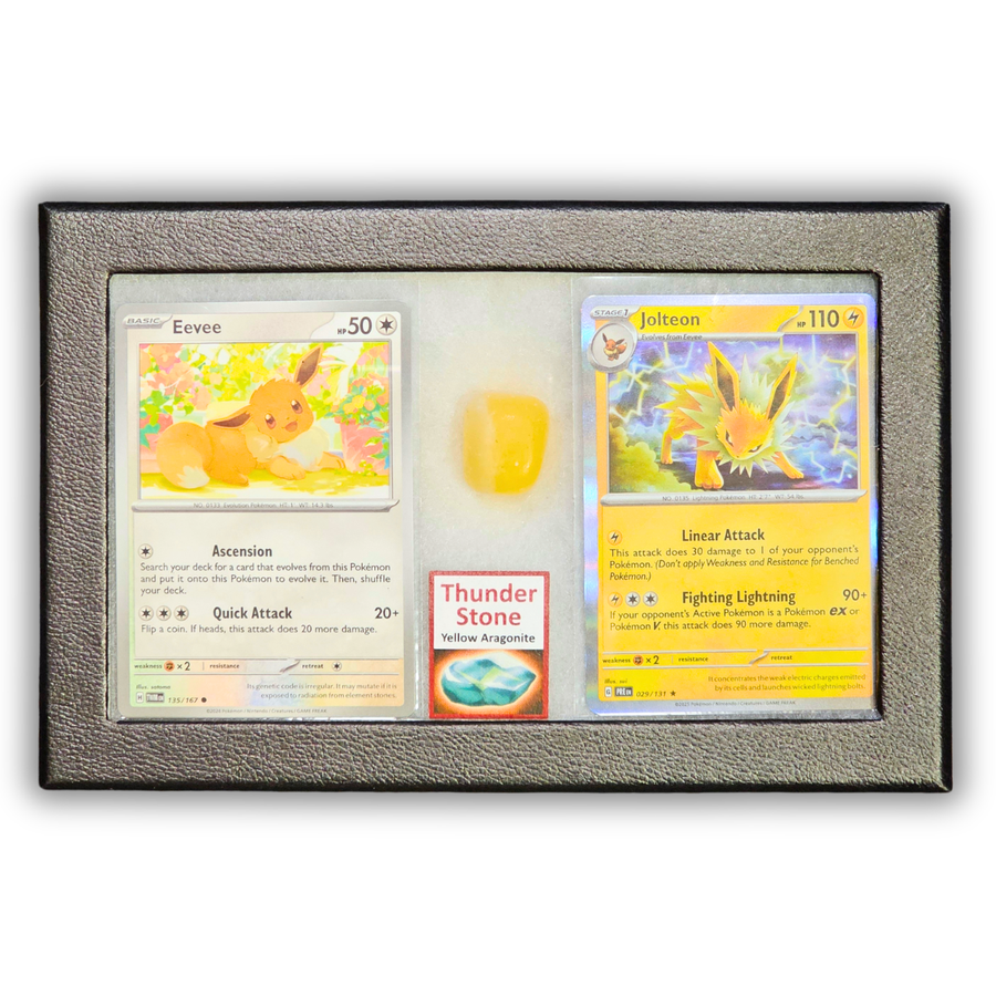 Blitza Pokémon Kristall Display