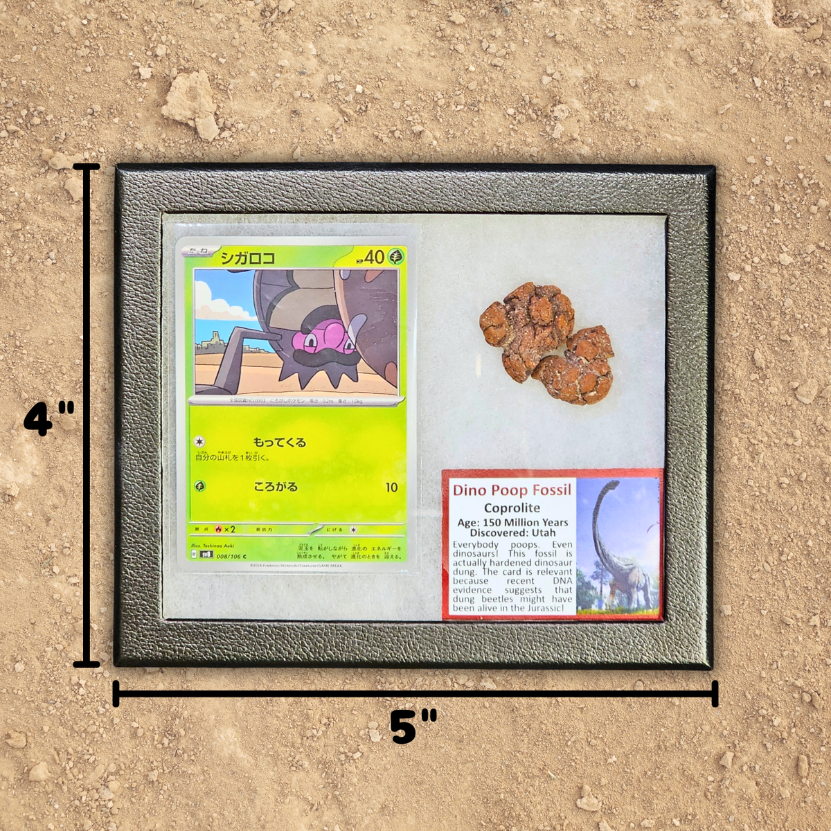Pokémon Fossil Display - Rellor with Dinosaur Poop Fossil