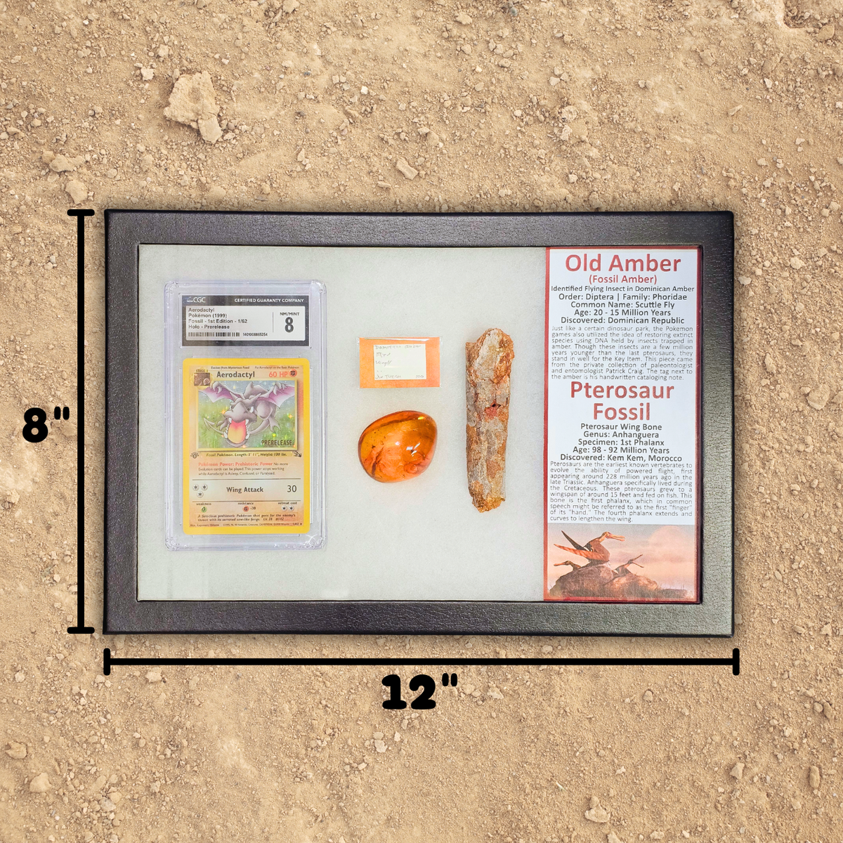 Pokémon Fossil Display - Graded 1st Edition Aerodactyl with Amber and Pterosaur Fossil
