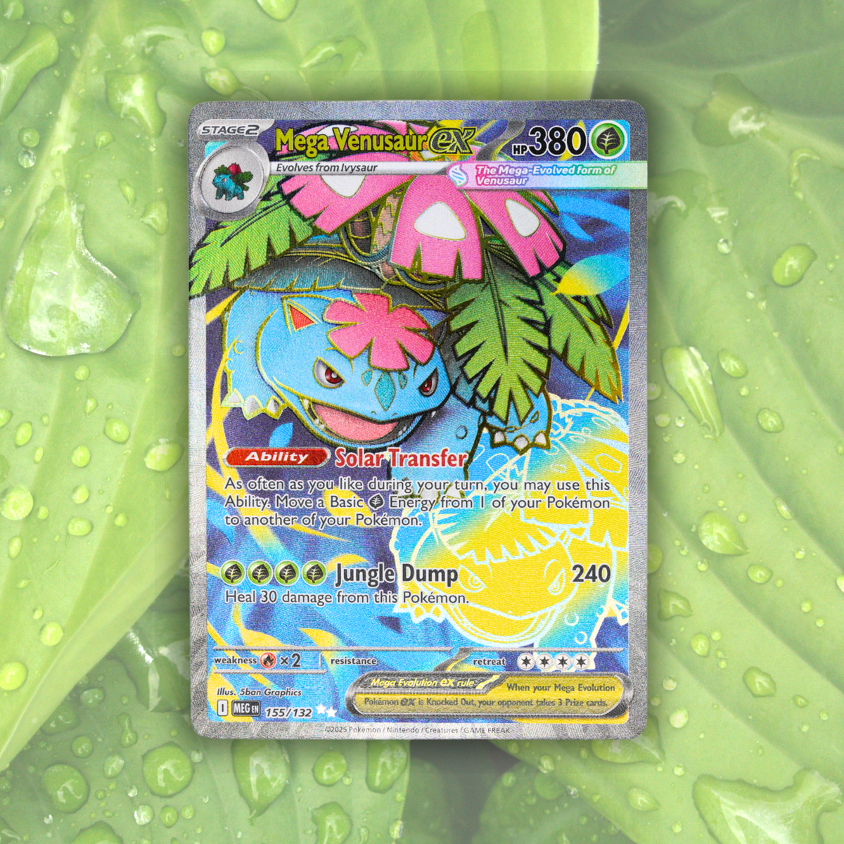 Pokémon Fossil Display - Venusaur Fern Fossil