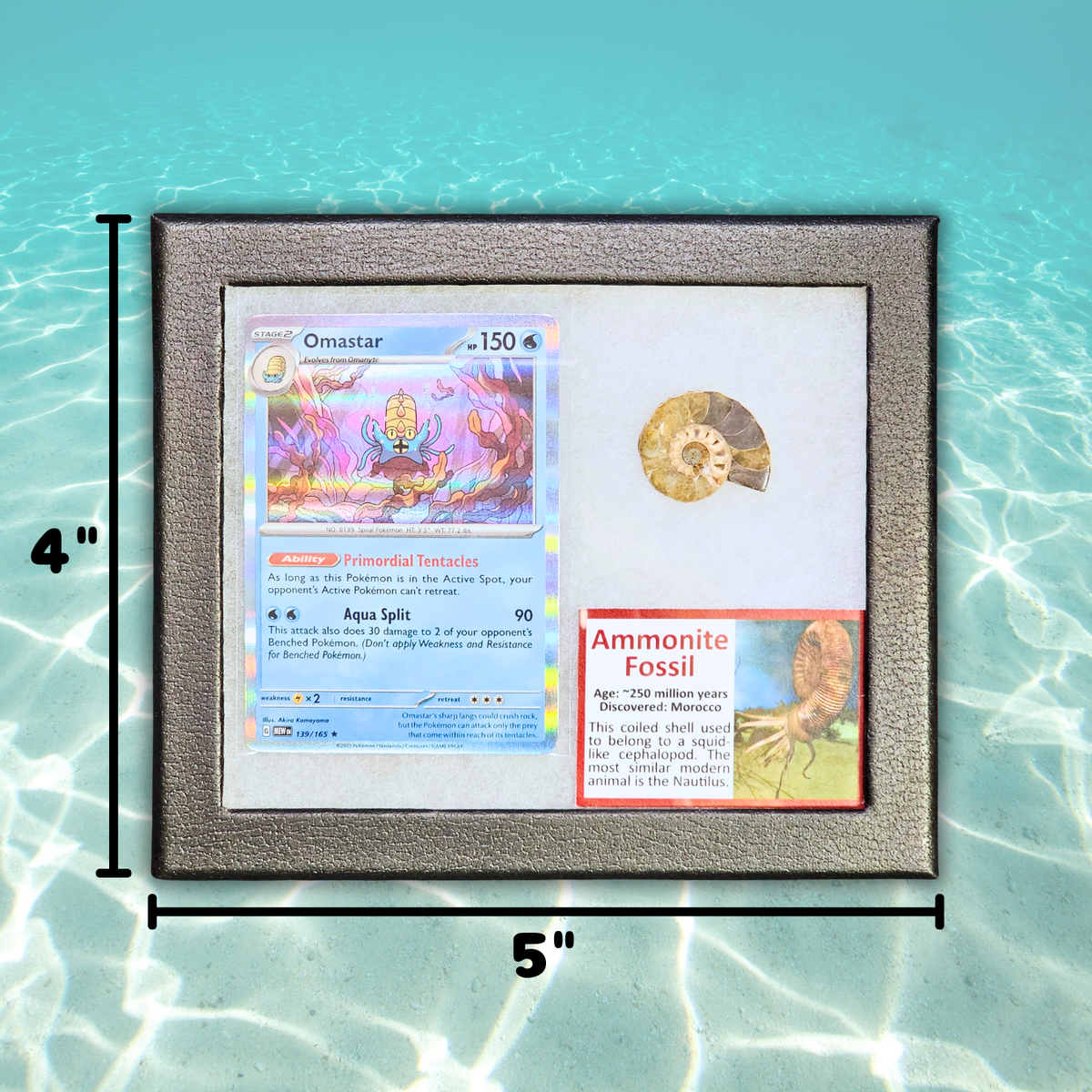 Pokémon Fossil Display - Omastar with Ammonite