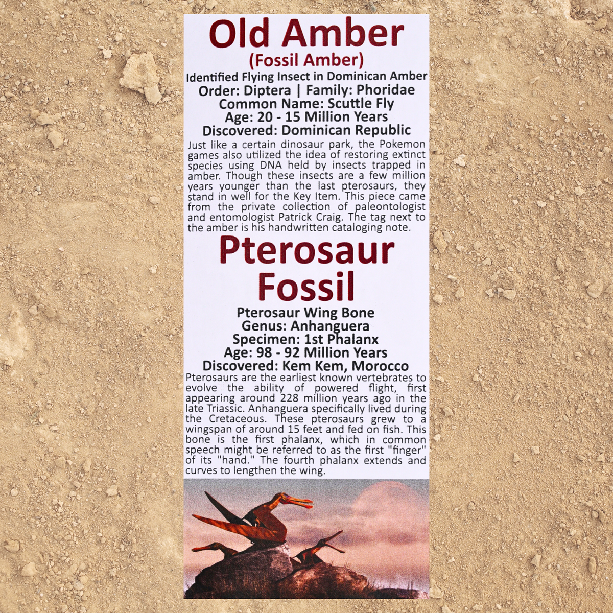 Pokémon Fossil Display - Graded 1st Edition Aerodactyl with Amber and Pterosaur Fossil