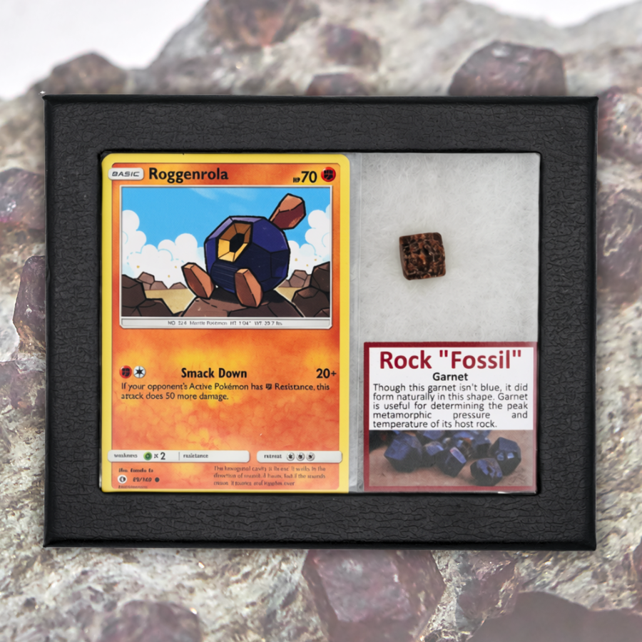 Pokémon Fossil Display - Roggenrola with Garnet
