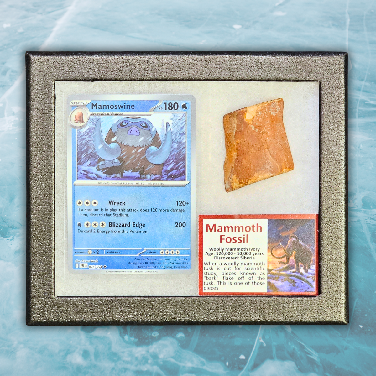 Pokémon Fossil Display - Mamoswine with Mammoth Fossil