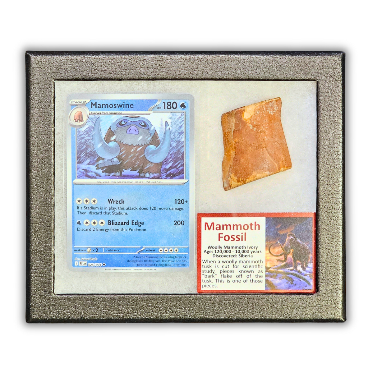 Pokémon Fossil Display - Mamoswine with Mammoth Fossil