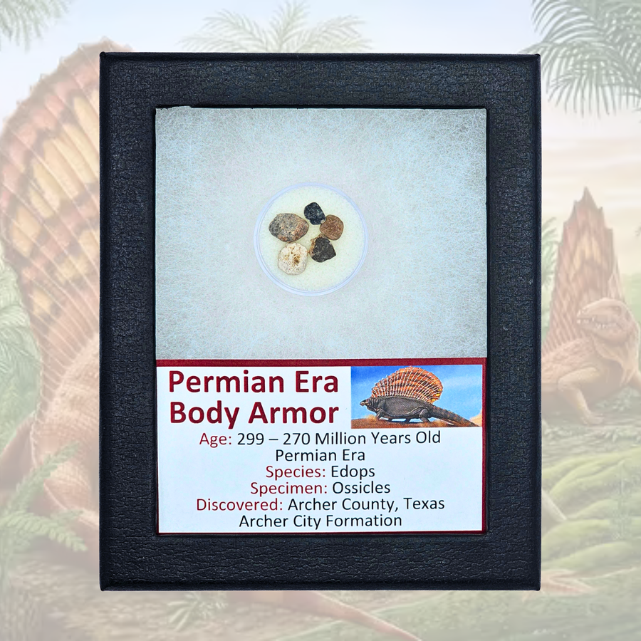 Permian Era Body Armor