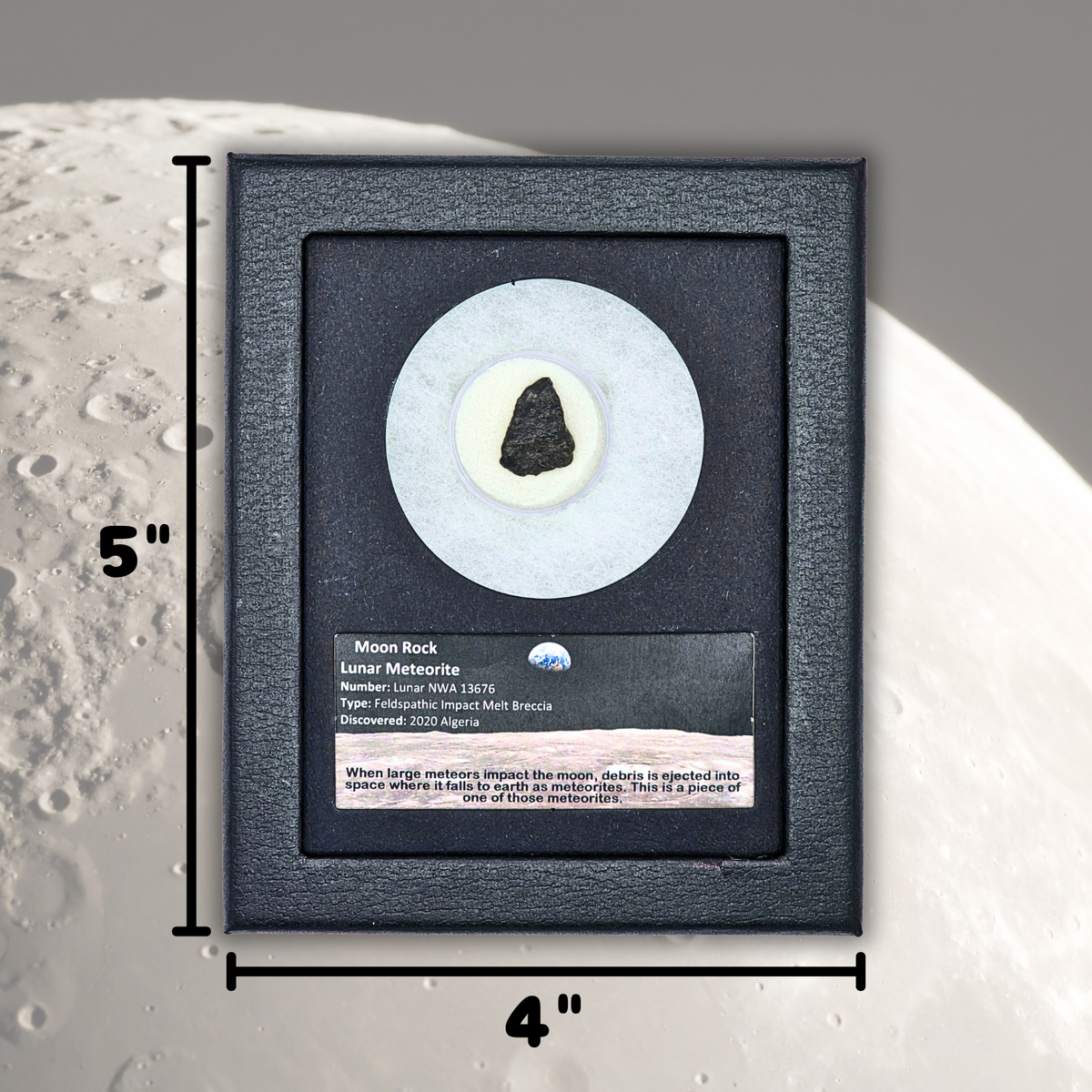 Moon Rock Lunar Meteorite Display - Algeria