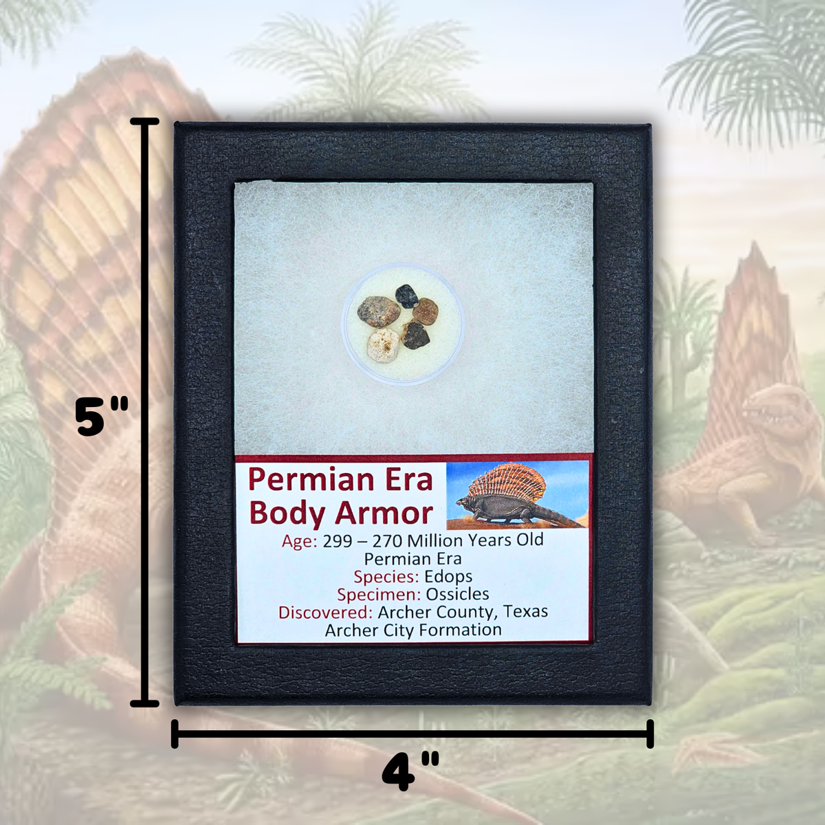 Permian Era Body Armor