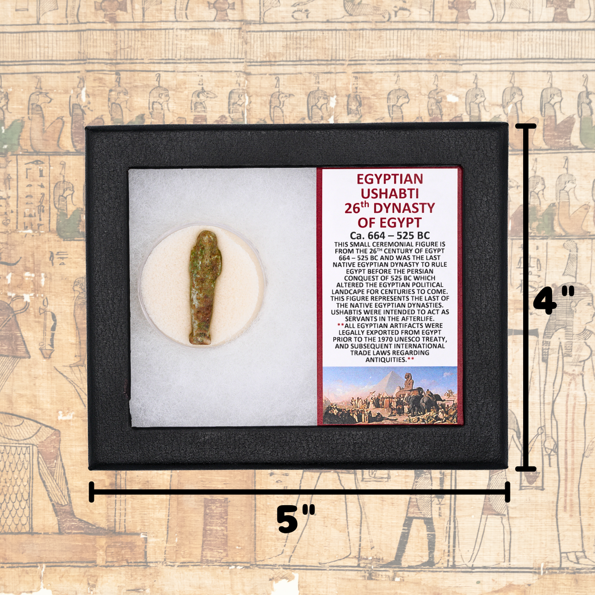 Egyptian Ushabti Display