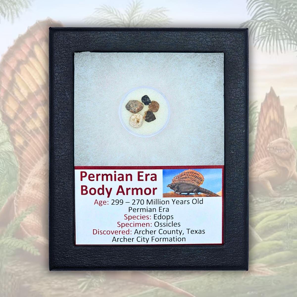 Permian Era Body Armor