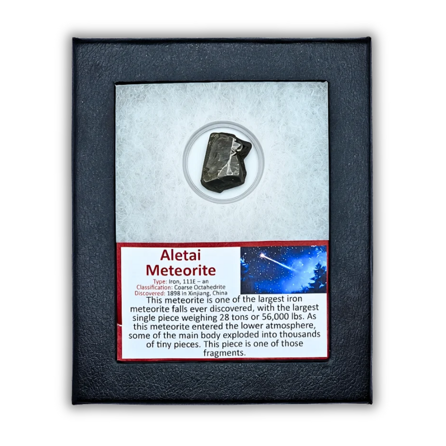 Aletai Meteorite Display