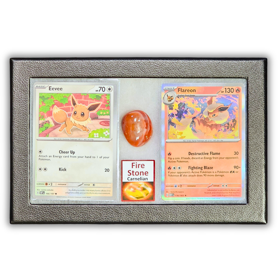 Flamara Pokémon Kristall Display