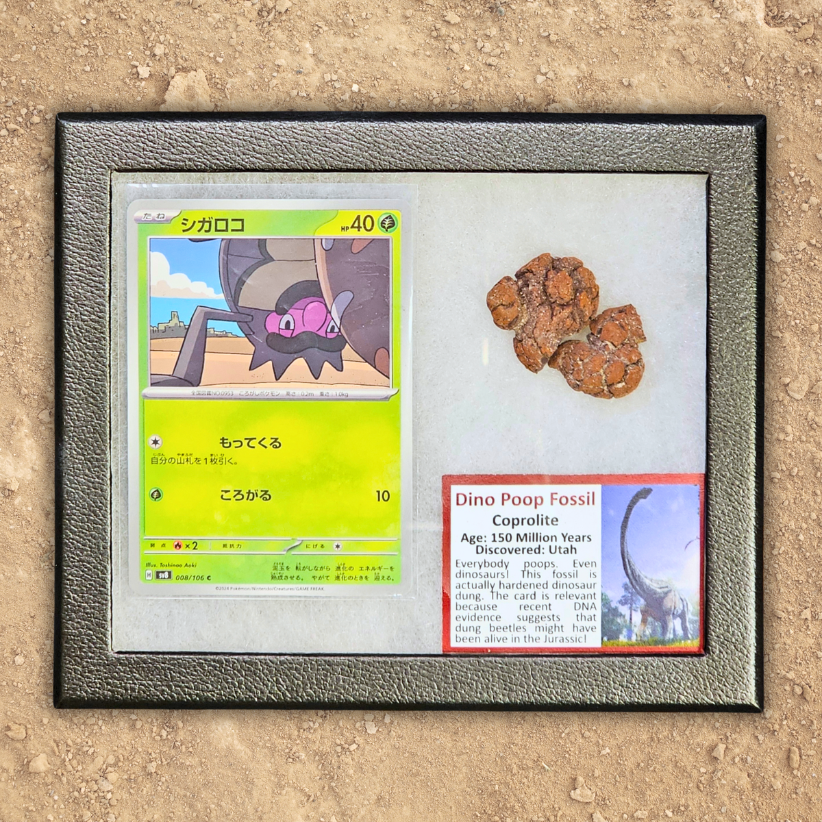 Pokémon Fossil Display - Rellor with Dinosaur Poop Fossil
