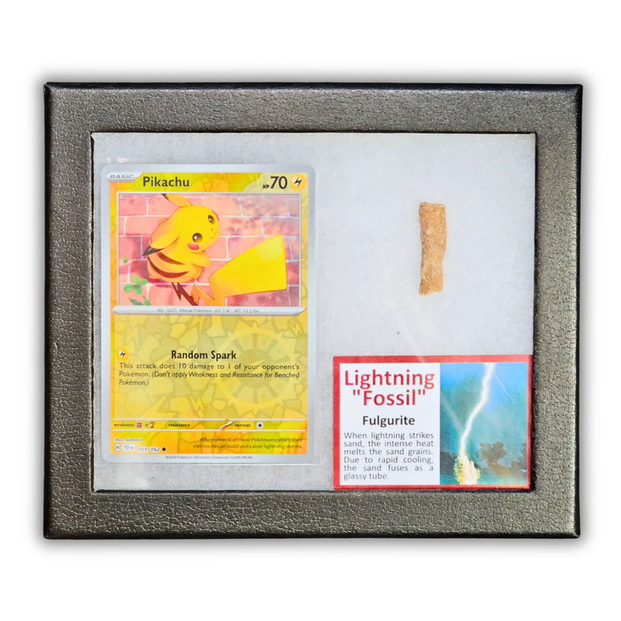 Pokémon Fossil Display - Pikachu Lightning Fossil