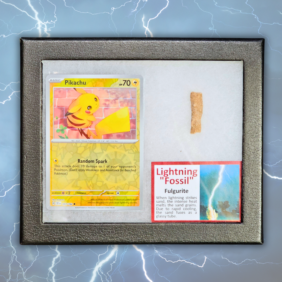 Pokemon Fulgurit Fossil Display - Pikachu