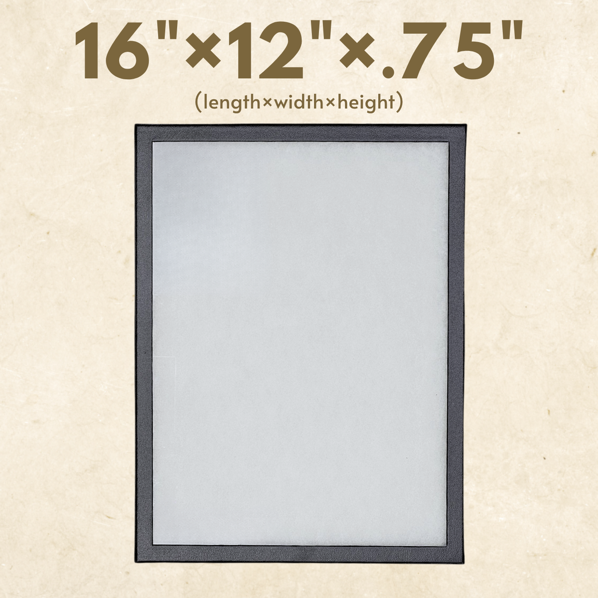 Riker Display Case – 16" × 12" × 0.75" Glass Top Display Box