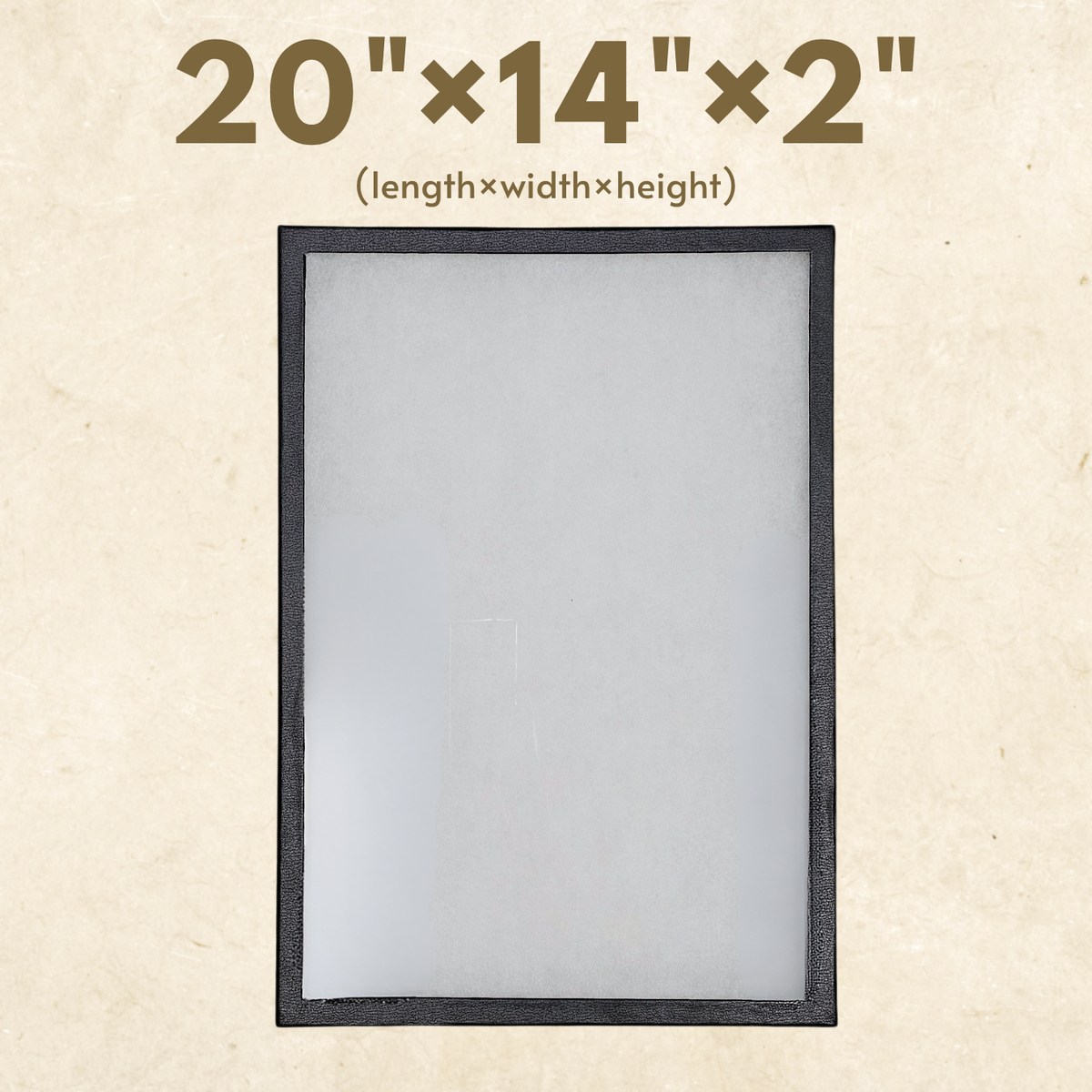 Riker Display Case – 20" × 14" × 2" Glass Top Display Box