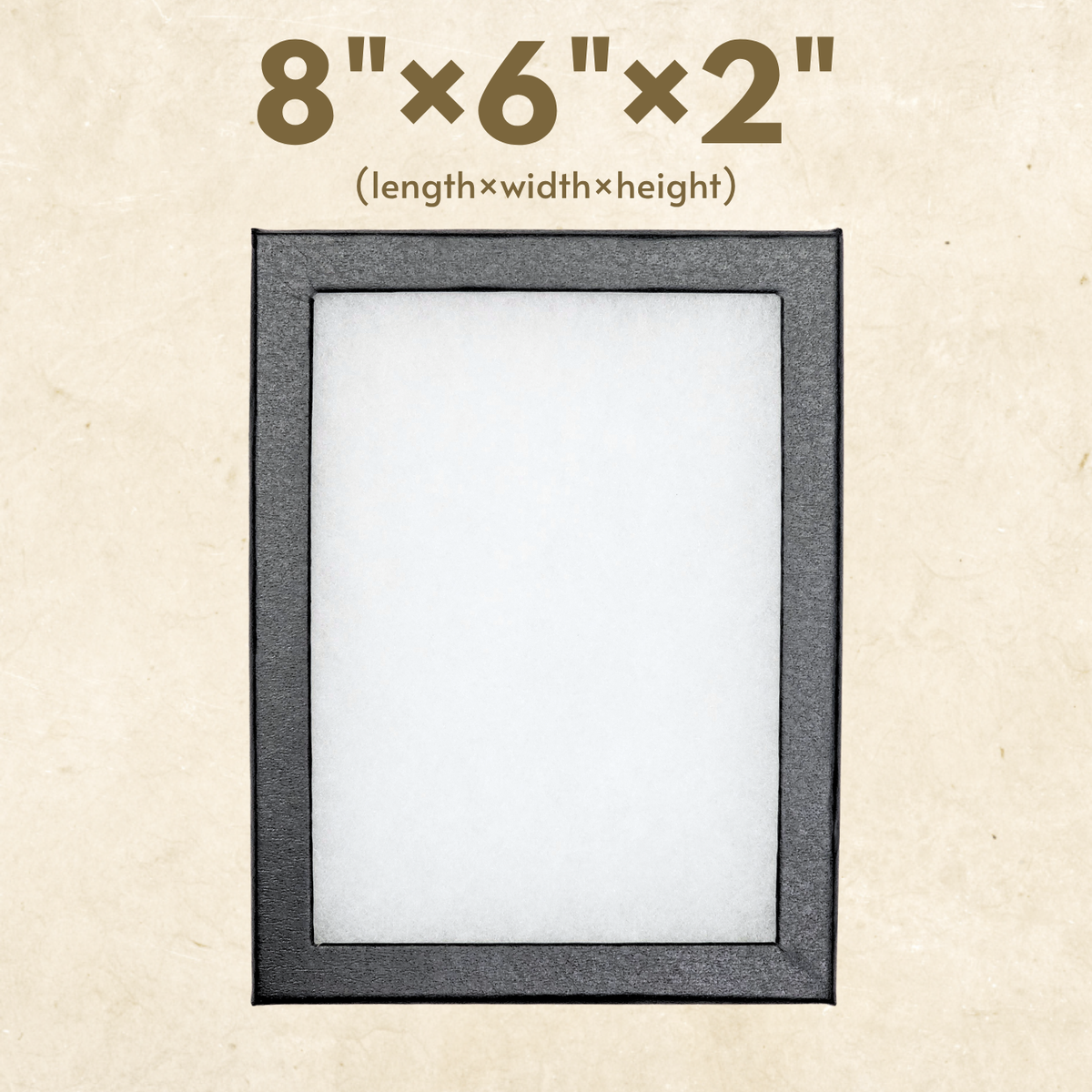 Riker-Schaukasten – 20,3 cm x 15,2 cm x 5,1 cm große Vitrine mit Glasdeckel