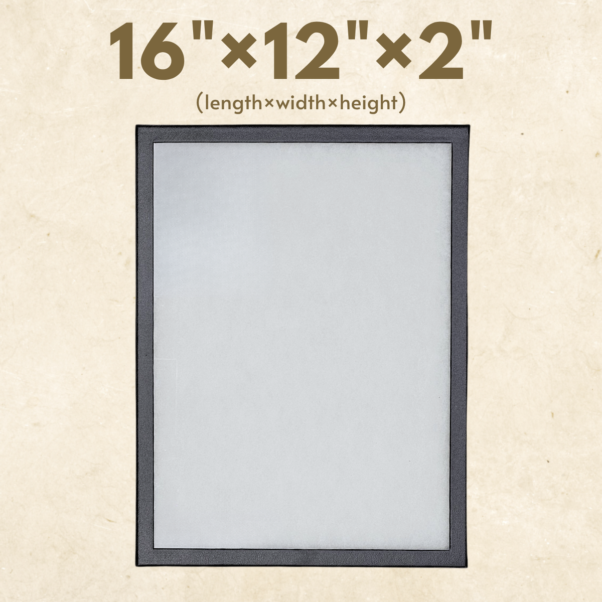 Riker Display Case – 16" × 12" × 2" Glass Top Display Box