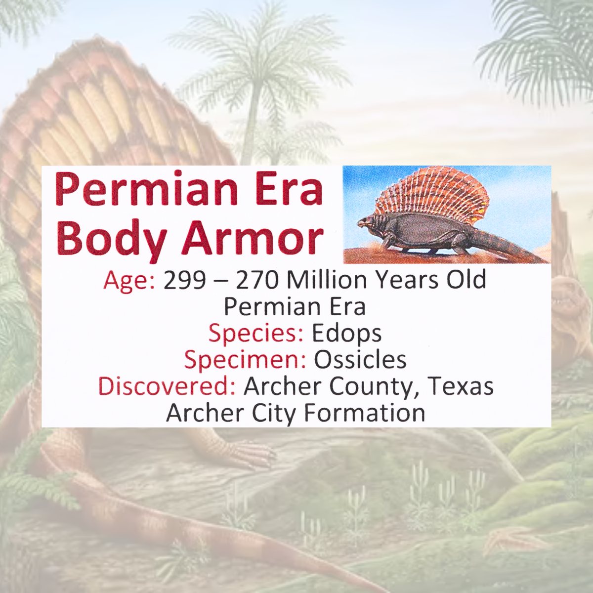 Permian Era Body Armor