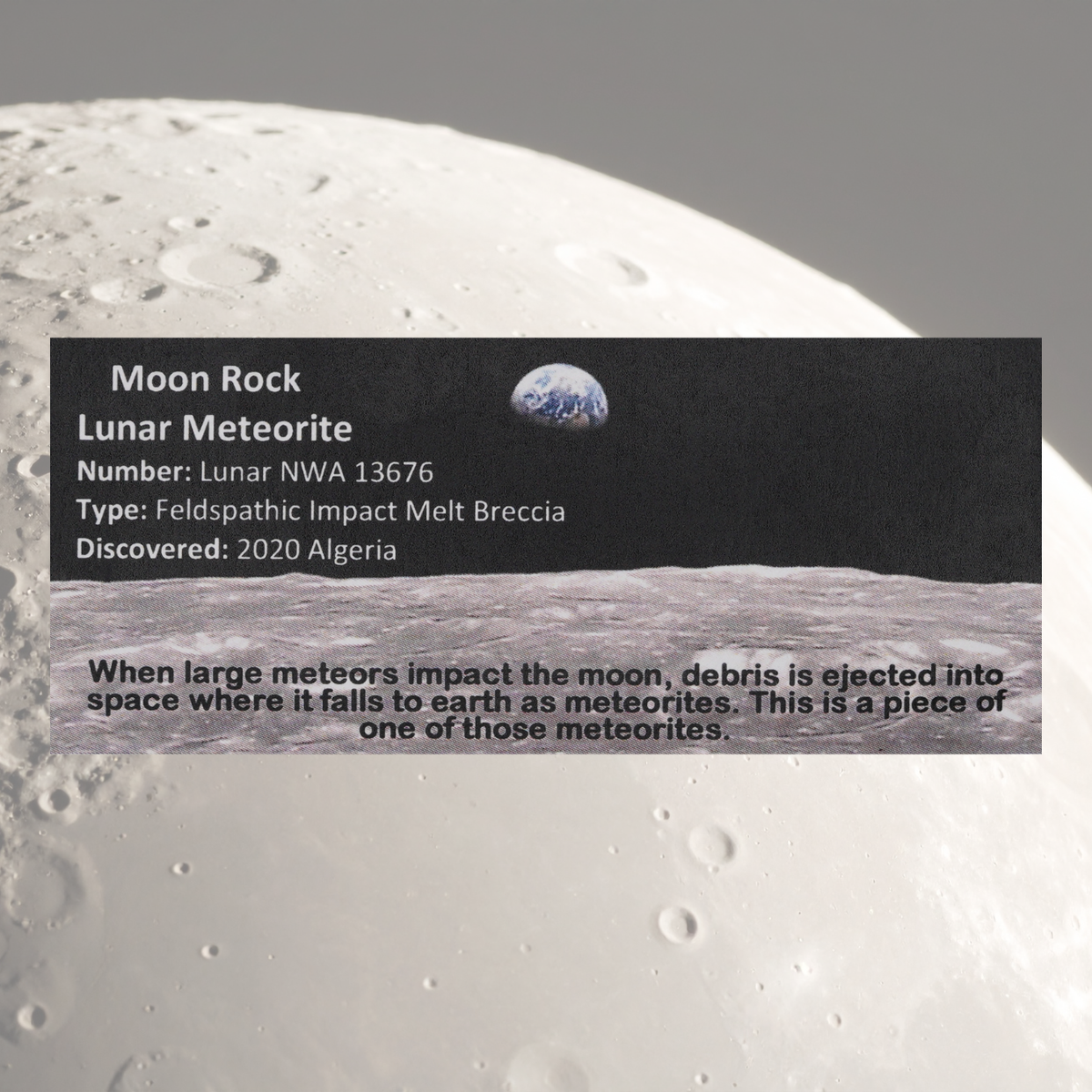 Moon Rock Lunar Meteorite Display - Algeria