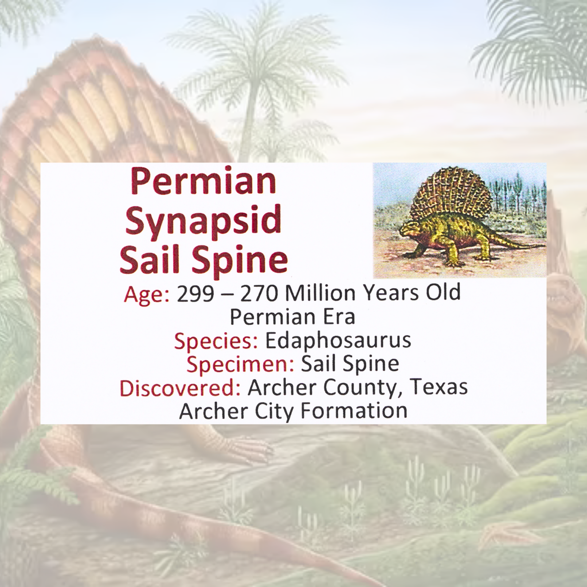 Permian Synapsid Sail Spine