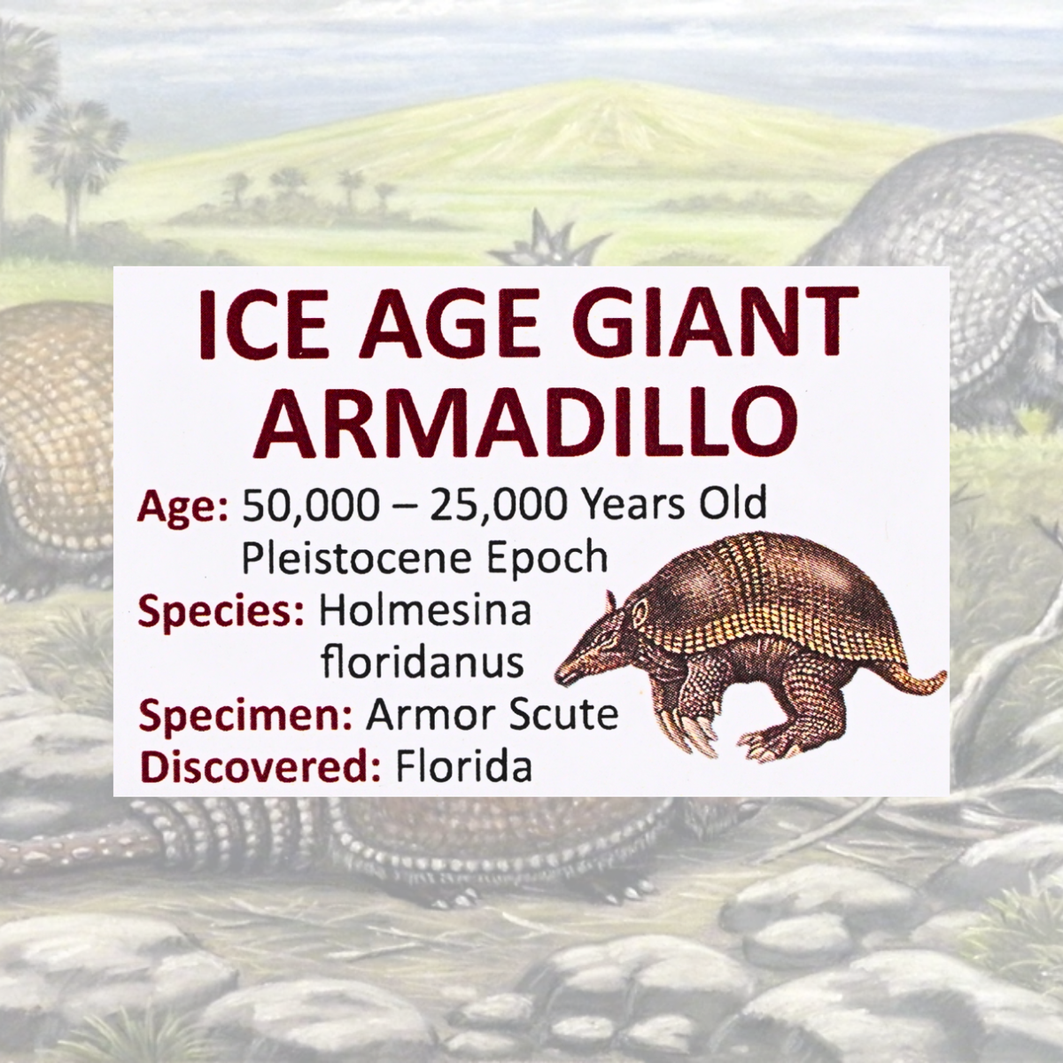 Ice Age Giant Armadillo Display - Holmesina Floridanus