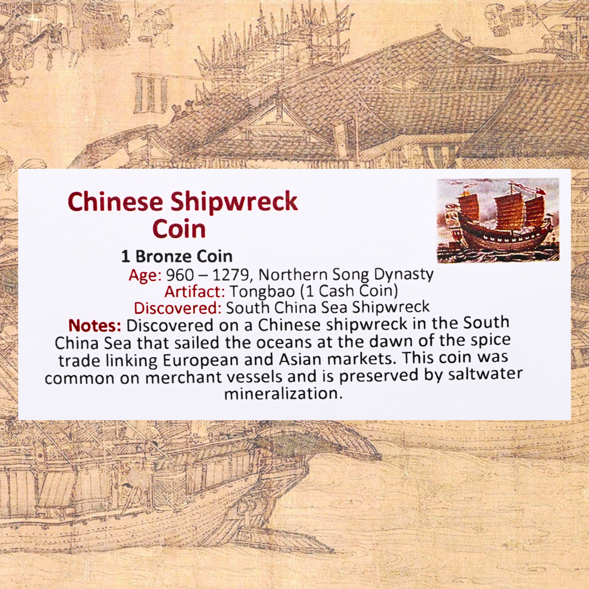Chinese Shipwreck Coin Display - Northern Song Dynasty