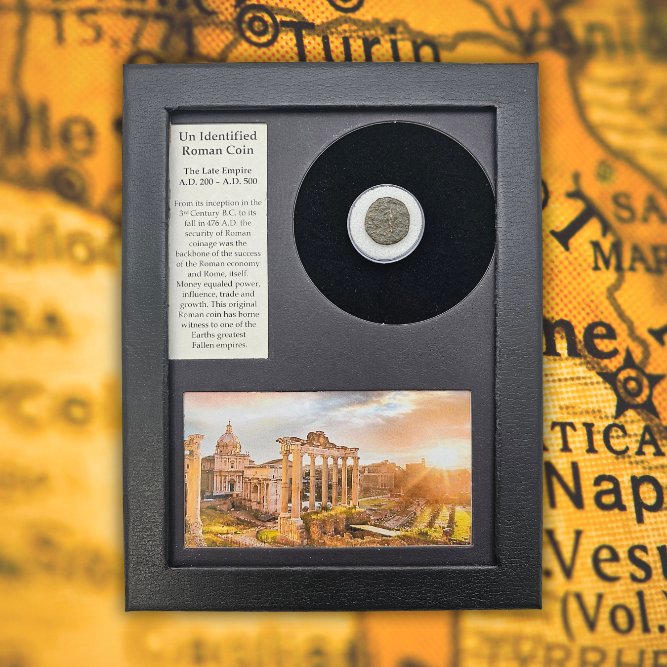 Roman Coin Display