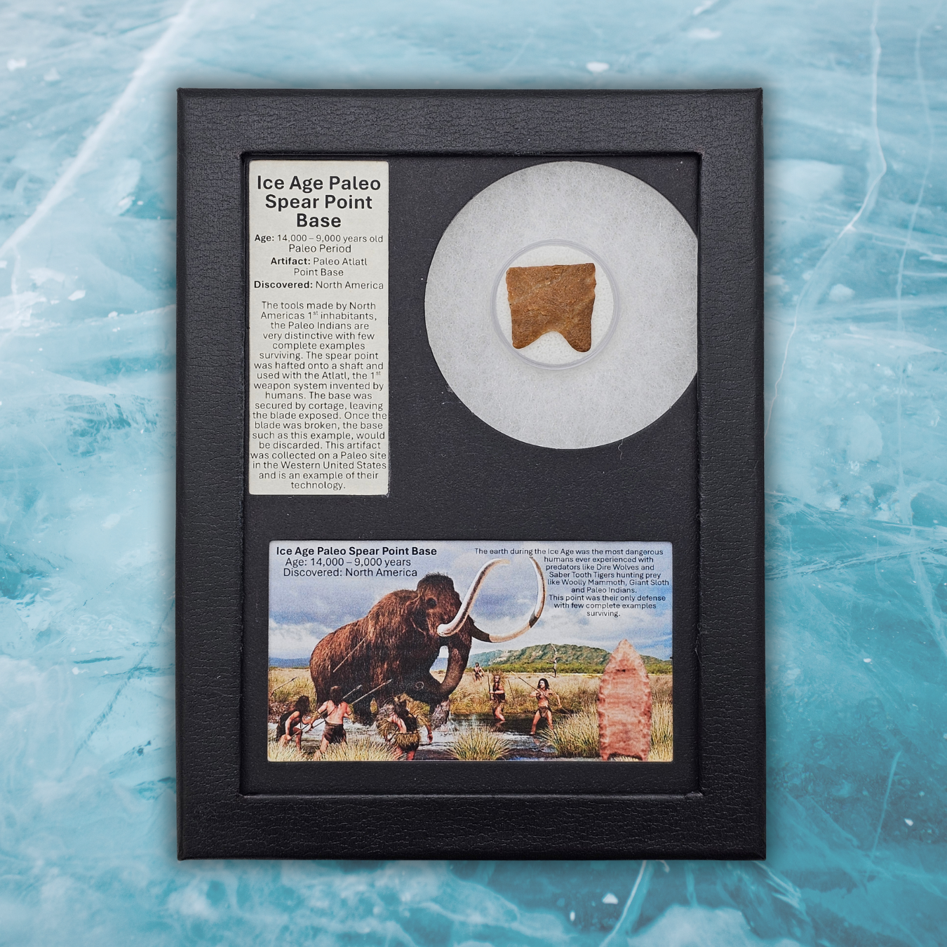 Ice Age Paleo Spear Point Base Display