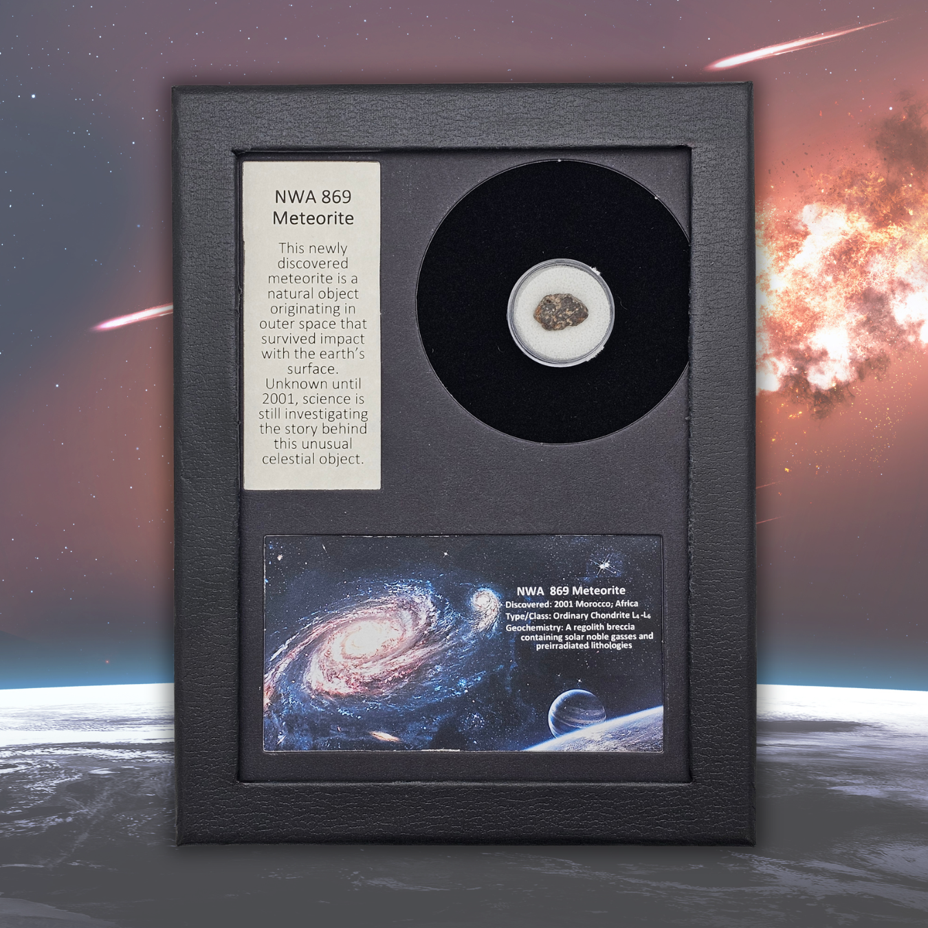 NWA 869 Meteoriten-Display