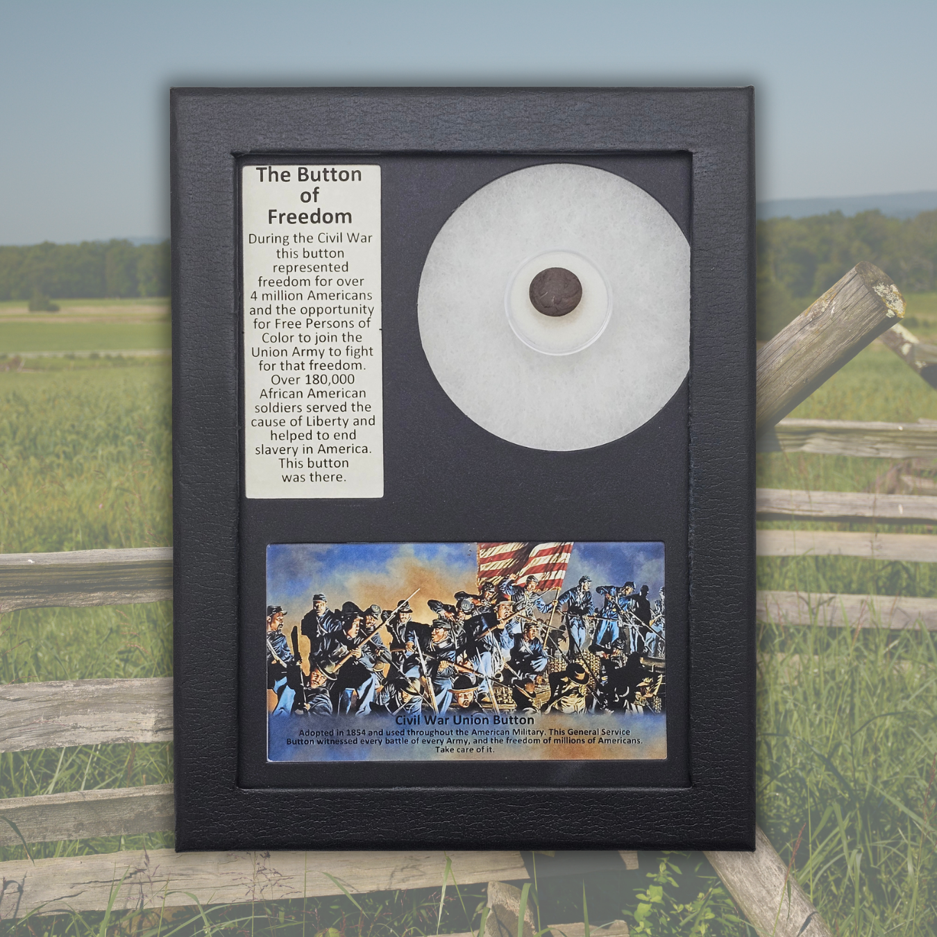Civil War Union Army Button Display