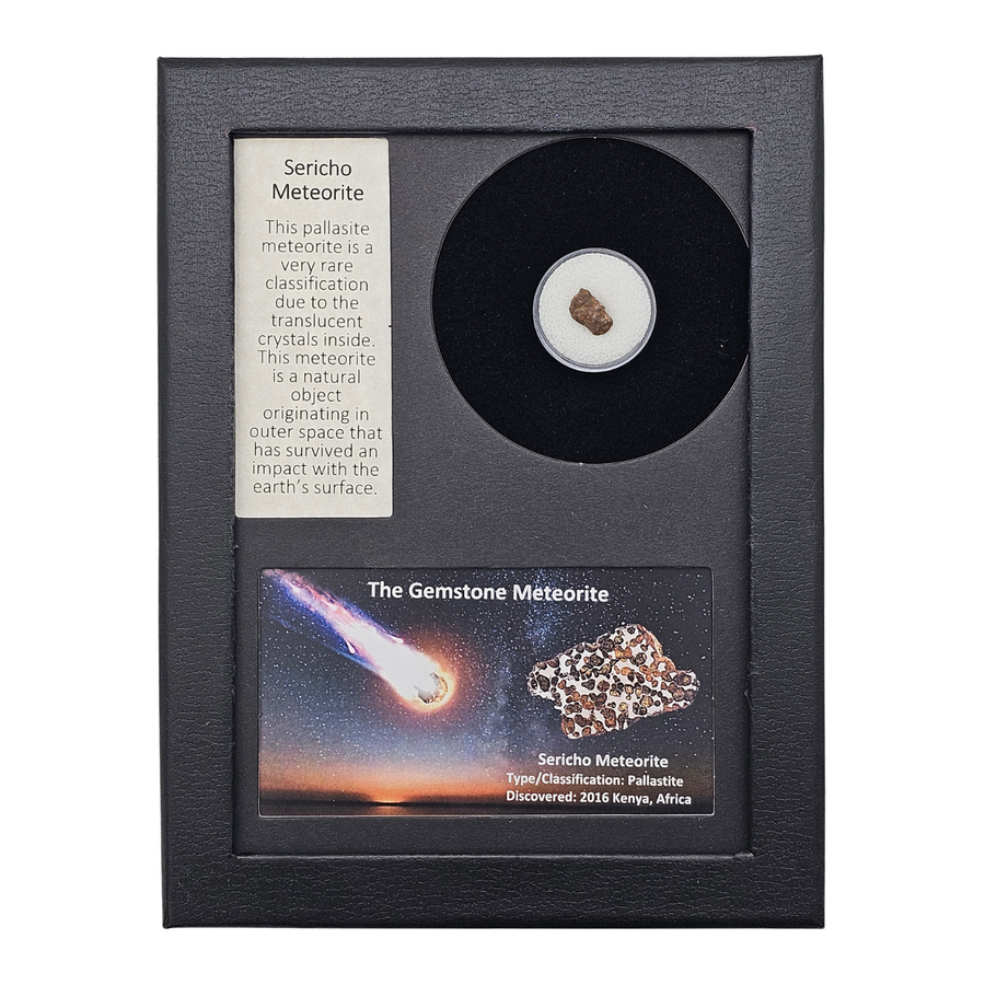Sericho Pallasite Meteorite Display