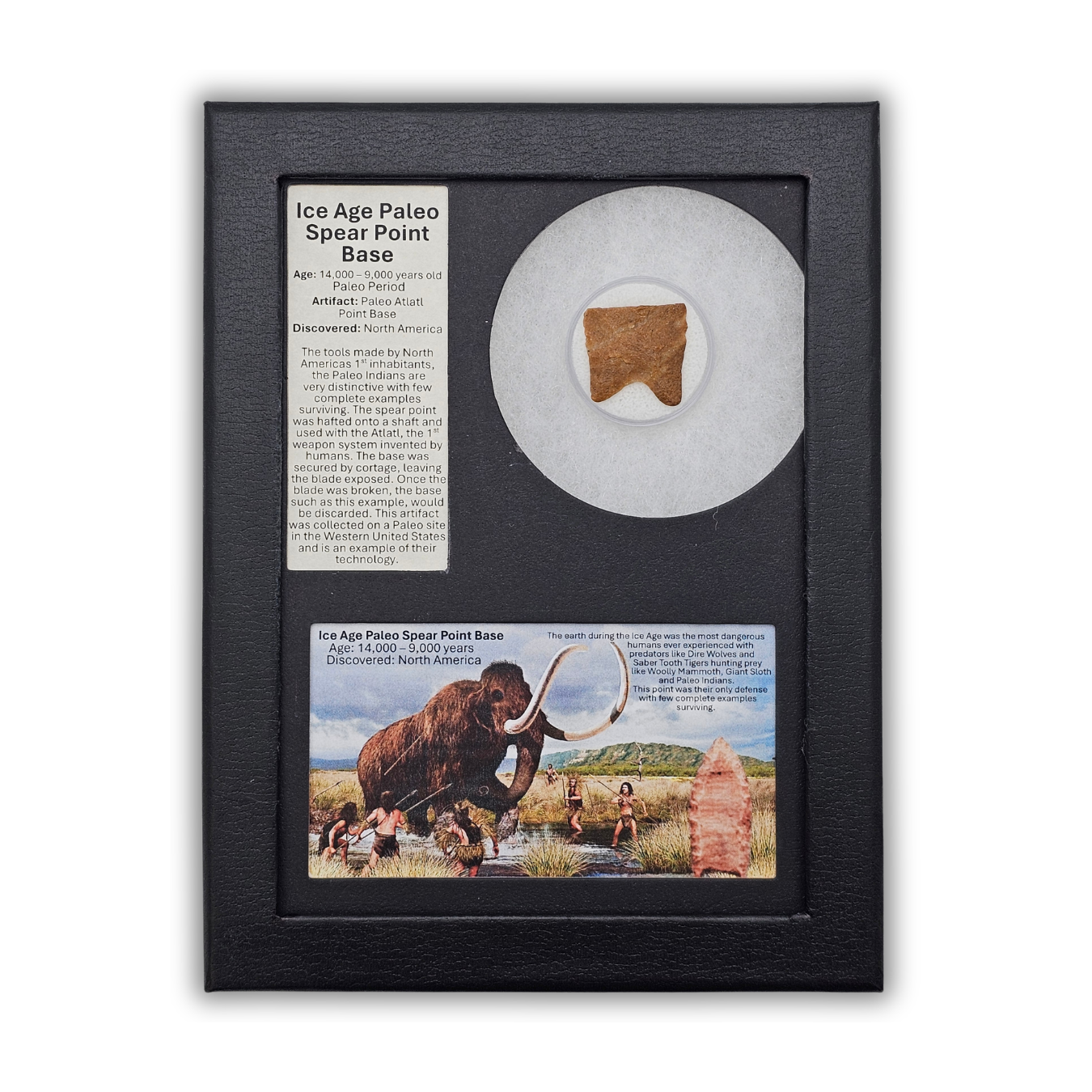 Ice Age Paleo Spear Point Base Display