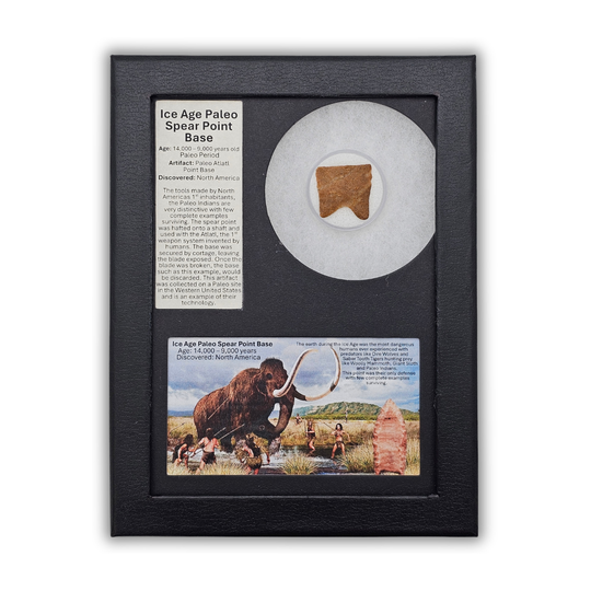Ice Age Paleo Spear Point Base Display