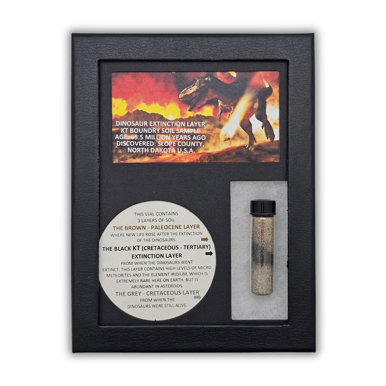 Dinosaur Extinction Layer Soil Sample Display Frame