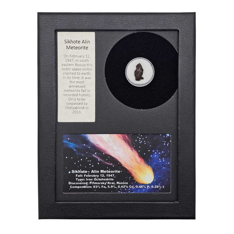 Sikhote-Alin Meteorite Display