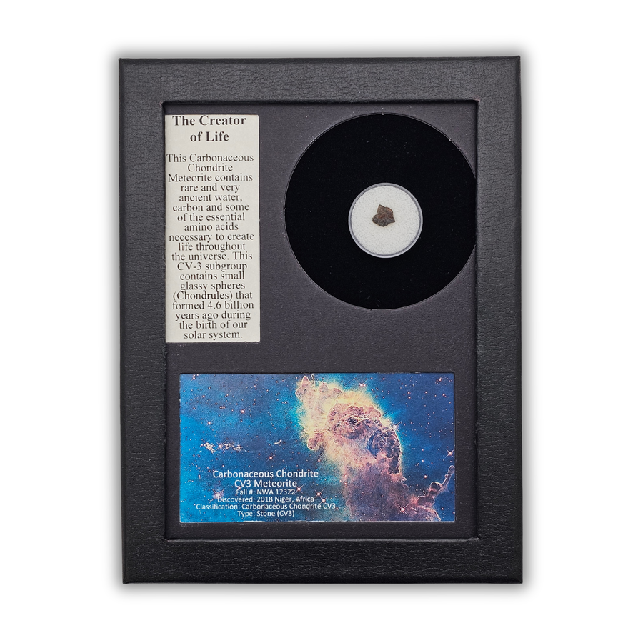 The Creator of Life, Carbonaceous Chondrite (CV3) Meteorite Display